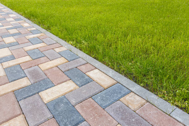 Best Best Driveway Pavers  in Olcott, NY